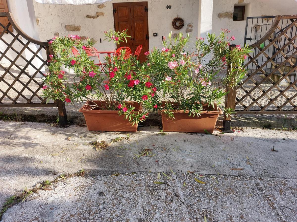 Cottage Lavanda E Rosmarino Lavis Exterior foto