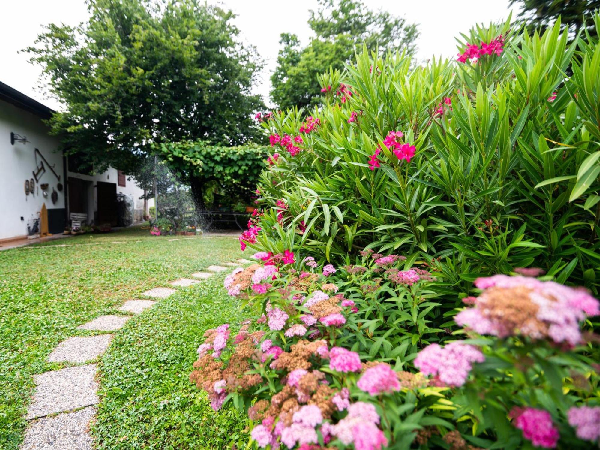 Cottage Lavanda E Rosmarino Lavis Exterior foto