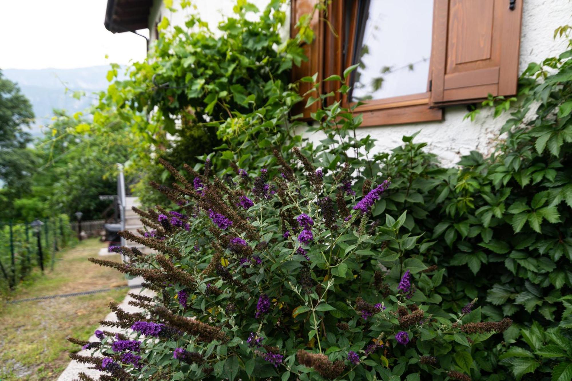 Cottage Lavanda E Rosmarino Lavis Exterior foto